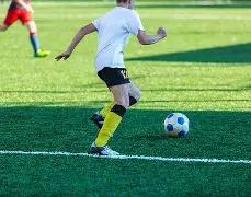 哈弗茨乐报,新生儿到,喜气洋洋,大发彩票网,中国大发彩票网官方,大发彩票网官网,大发彩票网首页