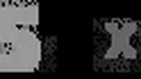 “东部劲旅猛龙再现雄风，力克榜尾对手，战绩逆袭引关注！”